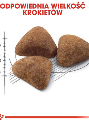 Royal Canin Indoor karma sucha dla kotów dorosłych, przebywających wyłącznie w domu 2kg