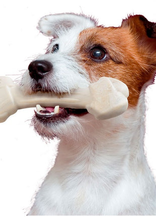 Ferplast GoodBite Natural SinglePack Kurczak 1szt M 70g