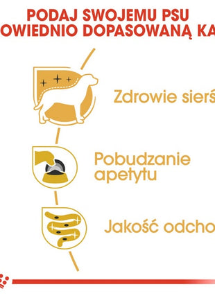 Royal Canin Yorkshire Terrier Adult karma mokra - pasztet, dla psów dorosłych rasy yorkshire terrier saszetka 85g