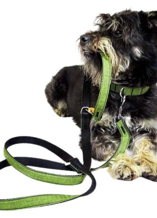 Dingo Smycz przedłużana Scandi 2x220cm szara