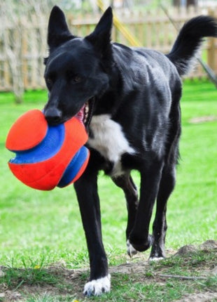 Chuckit! Kick Fetch Large [251201]