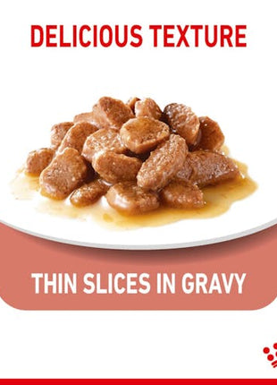 Royal Canin Appetite Control Care karma mokra w sosie dla kotów dorosłych, domagających się jedzenia saszetka 85g