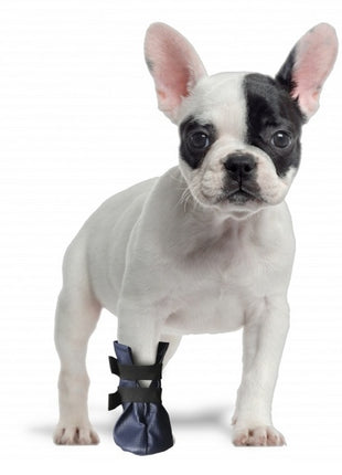 Grande Finale But na chorą łapę r.5 - 10cm