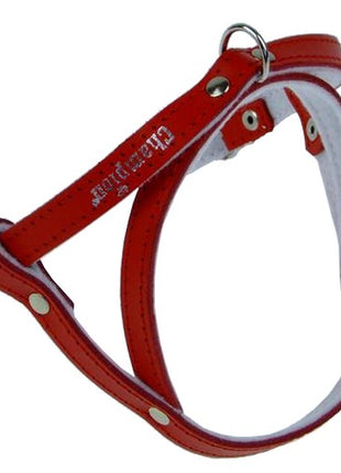 Champion Szelki 50 czerwone [SD(R)]