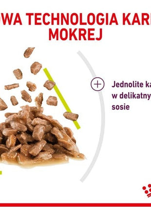 Royal Canin Sensory Smell w sosie karma mokra dla kotów dorosłych saszetka 85g