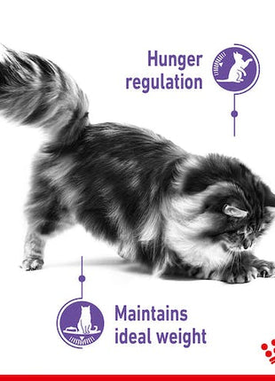 Royal Canin Appetite Control Care karma mokra w sosie dla kotów dorosłych, domagających się jedzenia saszetka 85g