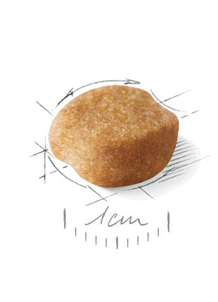 Royal Canin Yorkshire Terrier Adult 8+ karma sucha dla psów starszych rasy yorkshire terrier 3kg