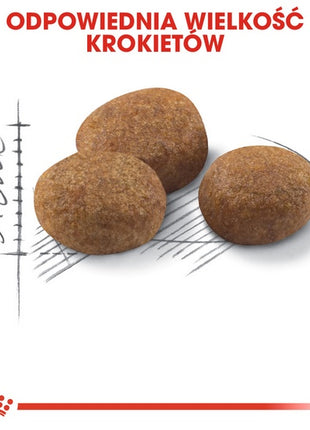 Royal Canin Sterilised 7+ karma sucha dla kotów dorosłych, od 7 do 12 roku życia, sterylizowanych 3,5kg