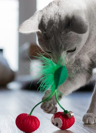 Petstages Cherry Dental dla kota [PS67833]