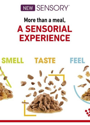 Royal Canin Sensory Smell w sosie karma mokra dla kotów dorosłych saszetka 85g