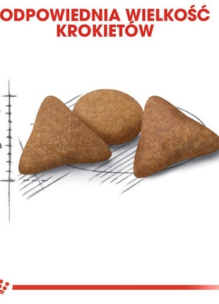 Royal Canin Indoor Apetite Control karma sucha dla kotów dorosłych, przebywających w domu, domagających się jedzenia 2kg