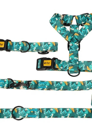 Dingo Szelki dwupaskowe Guard City - Monstera rozmiar M