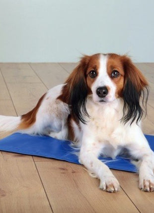 Trixie Mata chłodząca 90x50cm niebieska [28686]