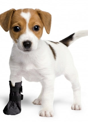 Grande Finale But Softshell na chorą łapę r.4 - 8cm czarny