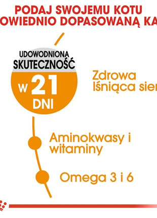 Royal Canin Hair&Skin Care karma sucha dla kotów dorosłych, lśniąca sierść i zdrowa skóra 400g
