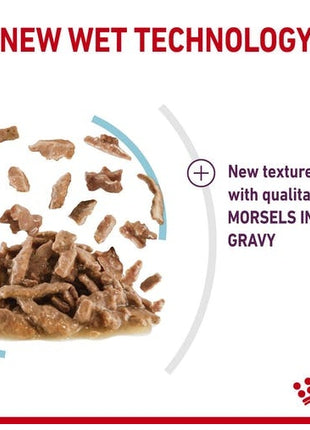 Royal Canin Sensory Feel w sosie karma mokra dla kotów dorosłych saszetka 85g