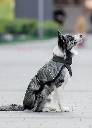 Chaba Kubrak Regulowany Chic L khaki