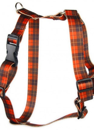 Matteo Szelki Guard 30mm szkocka krata