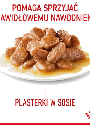 Royal Canin Urinary Care karma mokra dla kotów dorosłych, ochrona dolnych dróg moczowych saszetka 85g
