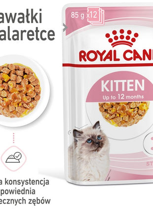Royal Canin Feline Kitten Multipack karma mokra dla kociąt do 12 miesiąca życia saszetki 4x85g