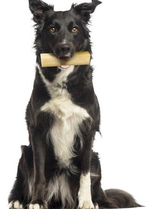 Zolux Przysmak serowa kość z sera himalajskiego Giant 151g [482314]