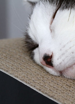 MyKotty Drapak Lui czarny