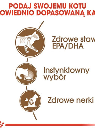 Royal Canin Ageing +12 karma mokra w sosie dla kotów dojrzałych saszetka 85g