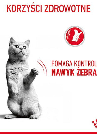 Royal Canin Appetite Control Care karma sucha dla kotów dorosłych, domagających się jedzenia 3,5kg