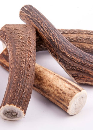 4DOGS Gryzak z poroża XL hard