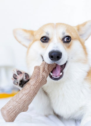 Petstages DogWood medium patyk PS218