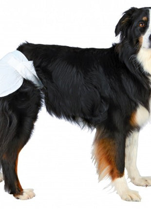 Trixie Pieluchy/Majtki dla suki 12szt/op XL  [23636]