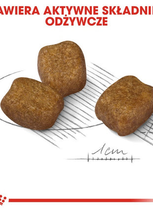 Royal Canin Mini Dental Care karma sucha dla psów dorosłych, ras małych, redukująca powstawanie kamienia nazębnego 1kg