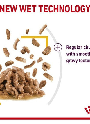 Royal Canin Sensory Taste w sosie karma mokra dla kotów dorosłych saszetka 85g