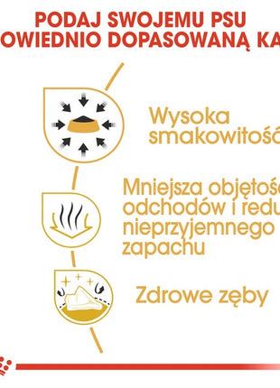 Royal Canin Chihuahua Adult karma sucha dla psów dorosłych rasy chihuahua 1,5kg