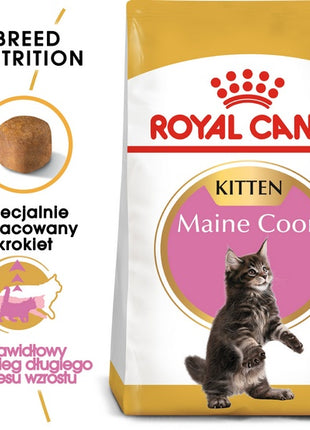 Royal Canin Maine Coon Kitten karma sucha dla kociąt, do 15 miesiąca, rasy maine coon 2kg