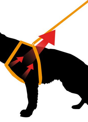 Ferplast Ergocomfort P Szelki XS szary [75462921]