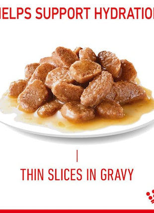 Royal Canin Hairball Care w sosie karma mokra w sosie dla kotów dorosłych, eliminacja kul włosowych saszetka 85g