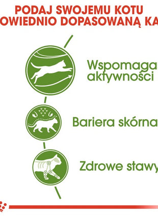 Royal Canin Outdoor karma sucha dla kotów dorosłych, wychodzących na zewnątrz 4kg