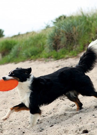 Trixie Frisbee Dysk z gumy TPR 22cm [TX-33506]