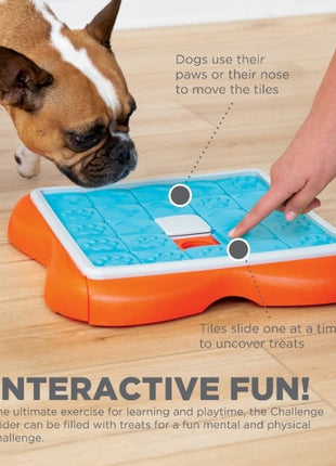 Nina Ottosson Challenge Slider - gra edukacyjna [69343]