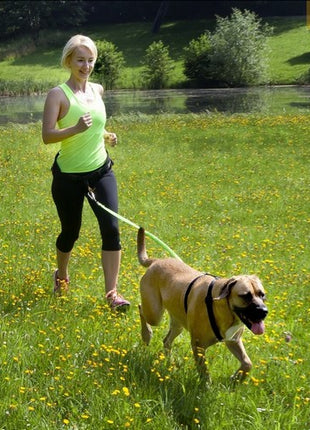 Dingo Smycz do biegania - taśma z amortyzatorem 170cm z karabińczykami czarna