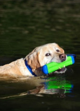 Chuckit! Amphibious Bumper Medium [18300]