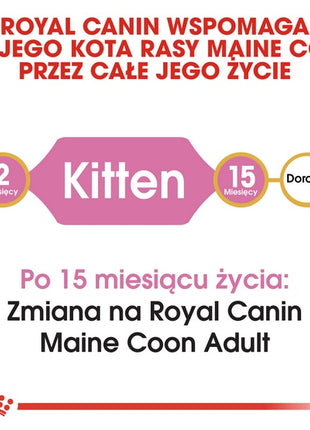 Royal Canin Maine Coon Kitten karma sucha dla kociąt, do 15 miesiąca, rasy maine coon 2kg