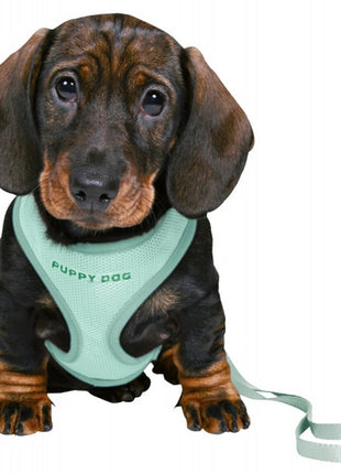 Trixie Szelki ze smyczą Junior 26-34cm miętowe [15565]