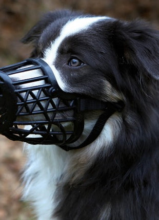 Trixie Kaganiec plastikowy dla psa rozmiar 1 (XS) czarny [17601]