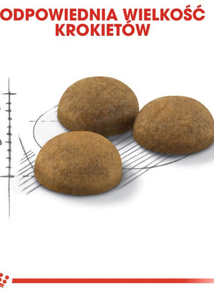 Royal Canin Indoor Long Hair karma sucha dla kotów dorosłych, długowłose, przebywających wyłącznie w domu 400g