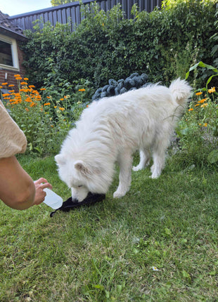 Petgear Travel Water Bottle – Water bottle and water bowl in one for on the go